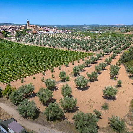 Hotel & Resort Vilar Rural D'Arnes By Serhs Hotels Sant Carles De La Rapita Exterior photo