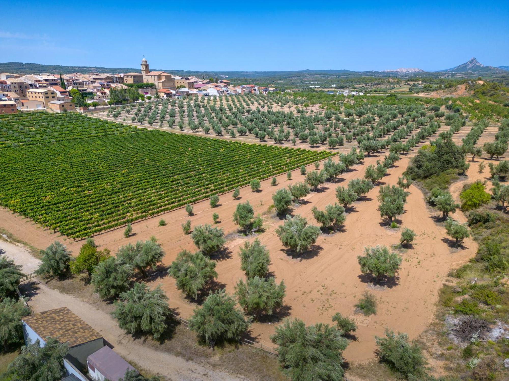 Hotel & Resort Vilar Rural D'Arnes By Serhs Hotels Sant Carles De La Rapita Exterior photo