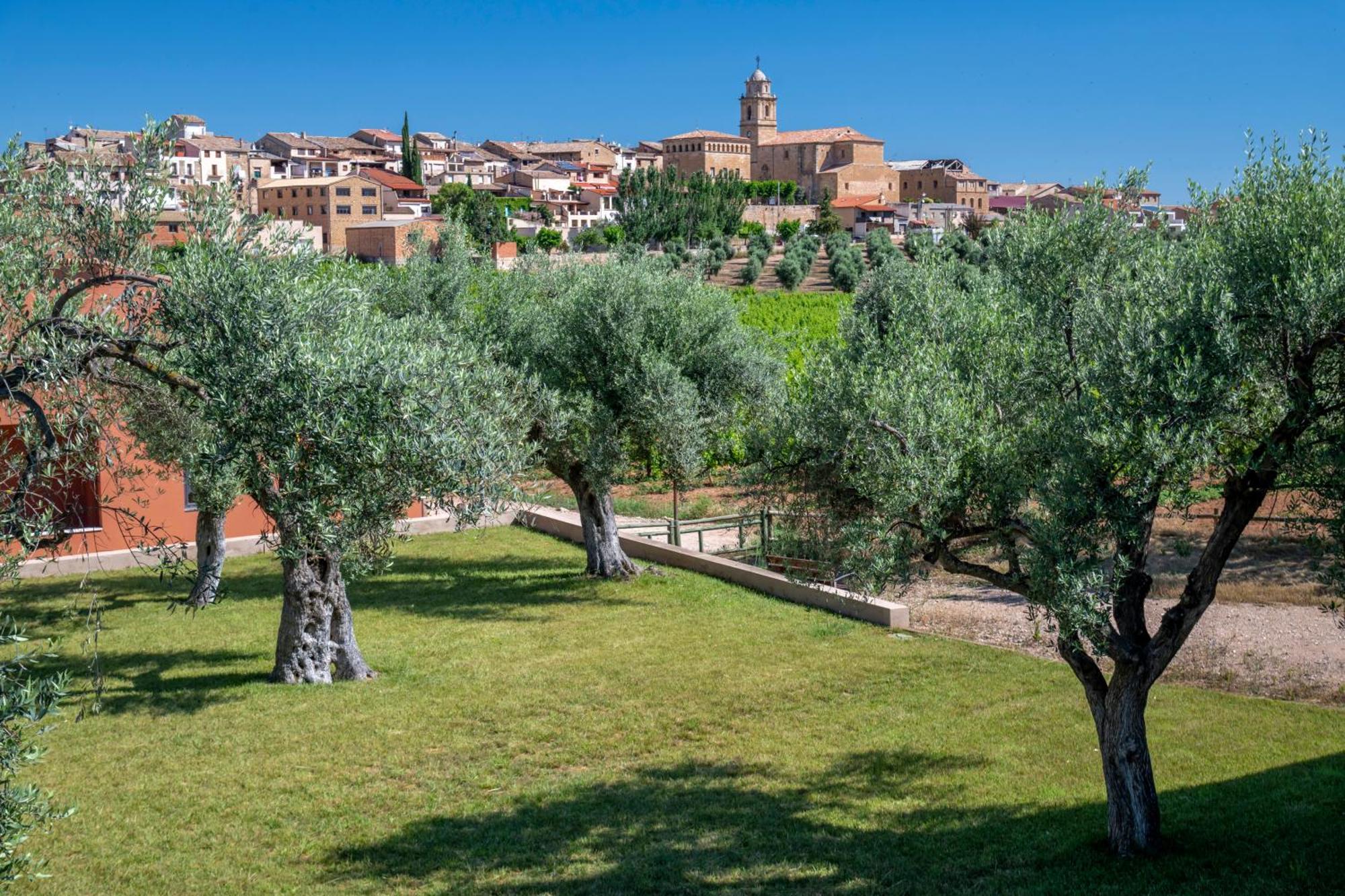 Hotel & Resort Vilar Rural D'Arnes By Serhs Hotels Sant Carles De La Rapita Exterior photo
