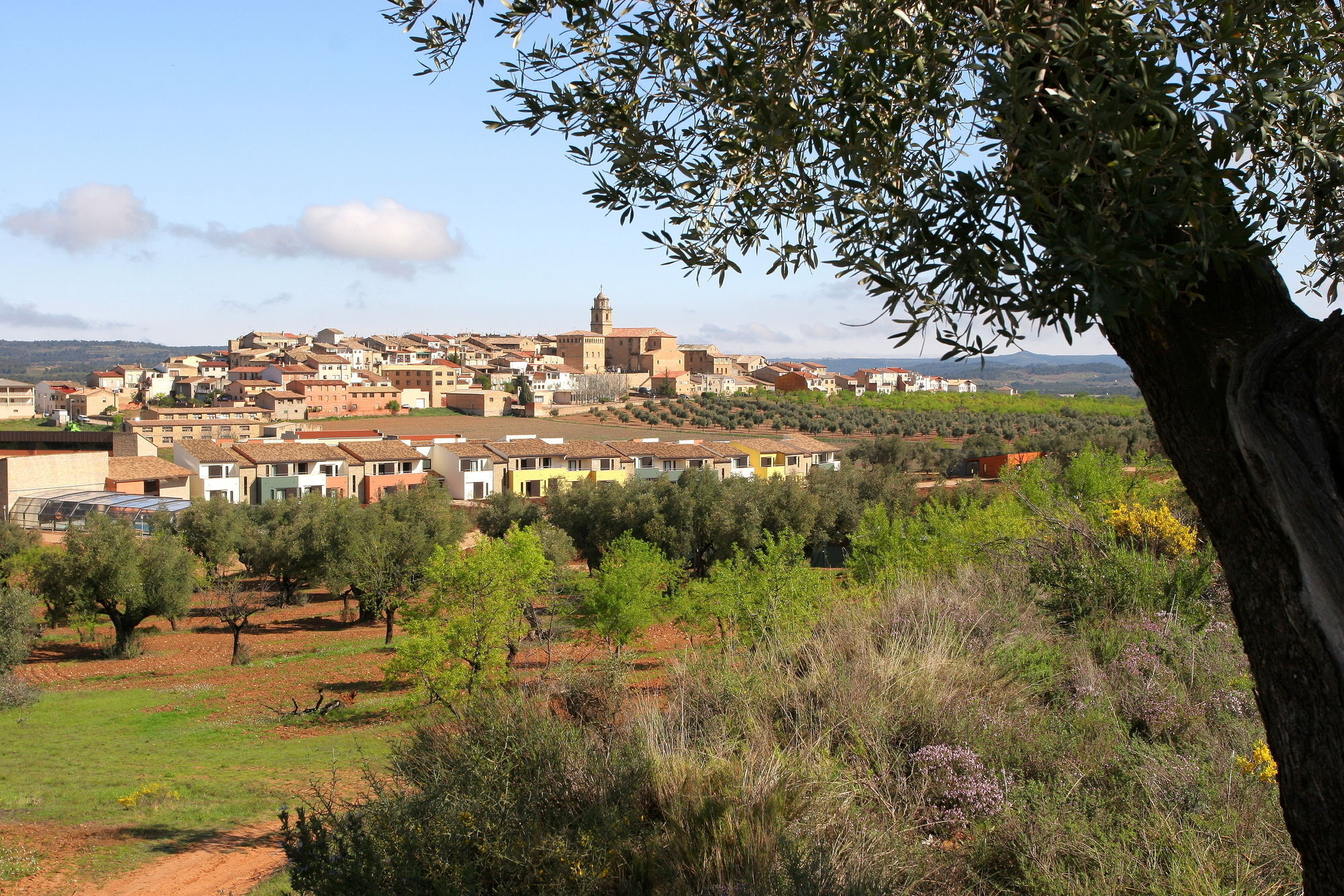 Hotel & Resort Vilar Rural D'Arnes By Serhs Hotels Sant Carles De La Rapita Exterior photo